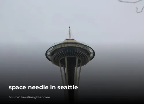 space needle in seattle