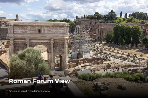 Roman Forum View