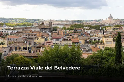 Terrazza Viale del Belvedere