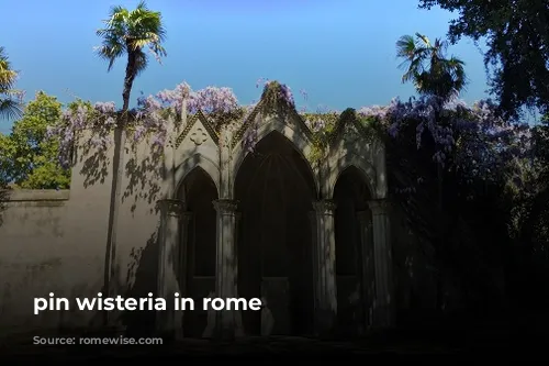 pin wisteria in rome