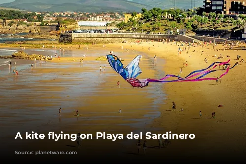 A kite flying on Playa del Sardinero