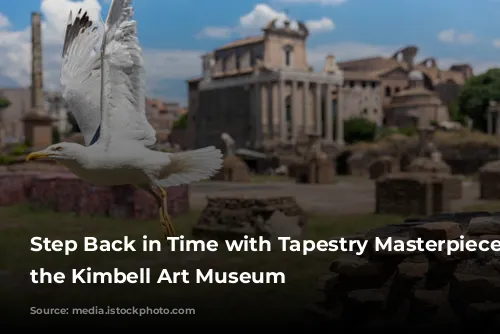 Step Back in Time with Tapestry Masterpieces at the Kimbell Art Museum