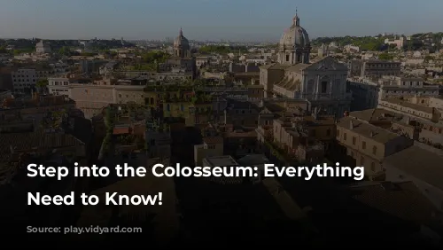 Step into the Colosseum: Everything You Need to Know!