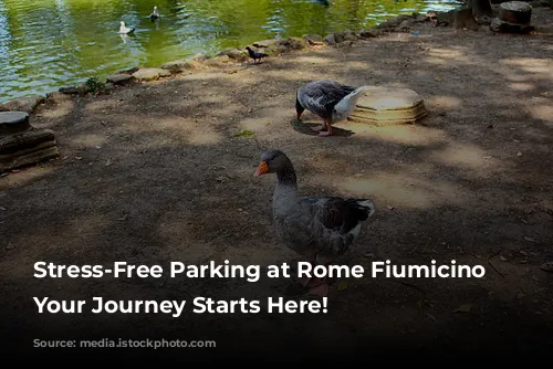 Stress-Free Parking at Rome Fiumicino Airport: Your Journey Starts Here!