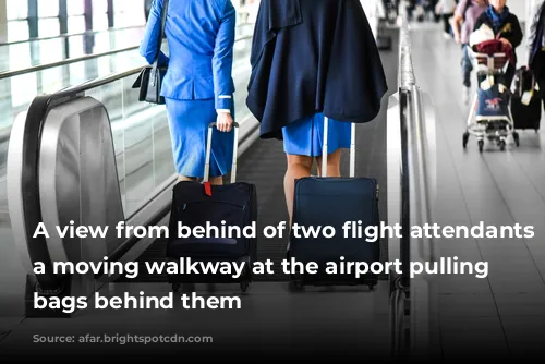 A view from behind of two flight attendants on a moving walkway at the airport pulling roller bags behind them