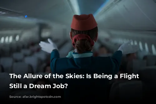 The Allure of the Skies: Is Being a Flight Attendant Still a Dream Job?