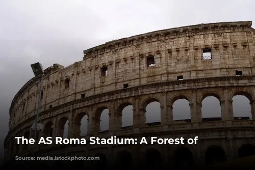 The AS Roma Stadium: A Forest of Obstacles