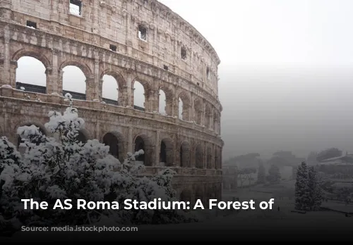 The AS Roma Stadium: A Forest of Obstacles