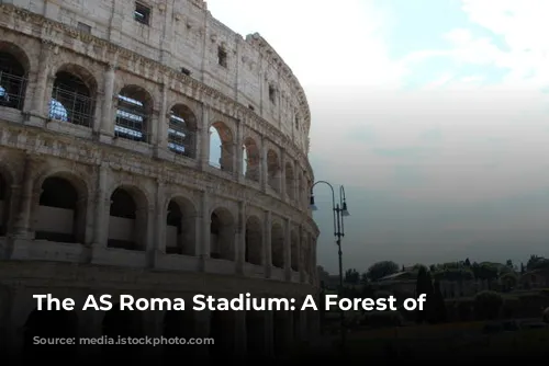 The AS Roma Stadium: A Forest of Obstacles