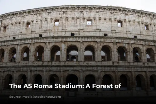 The AS Roma Stadium: A Forest of Obstacles