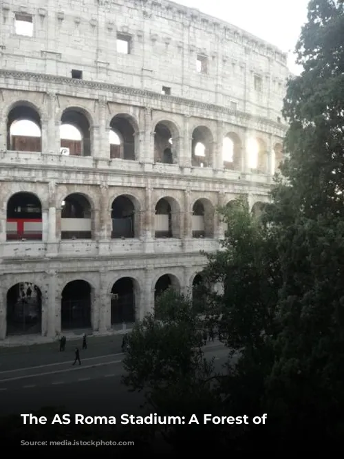 The AS Roma Stadium: A Forest of Obstacles