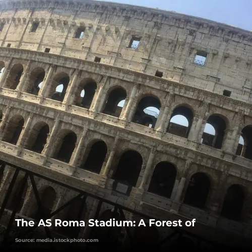 The AS Roma Stadium: A Forest of Obstacles