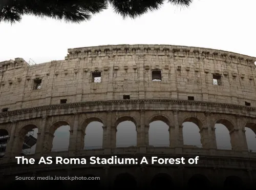 The AS Roma Stadium: A Forest of Obstacles