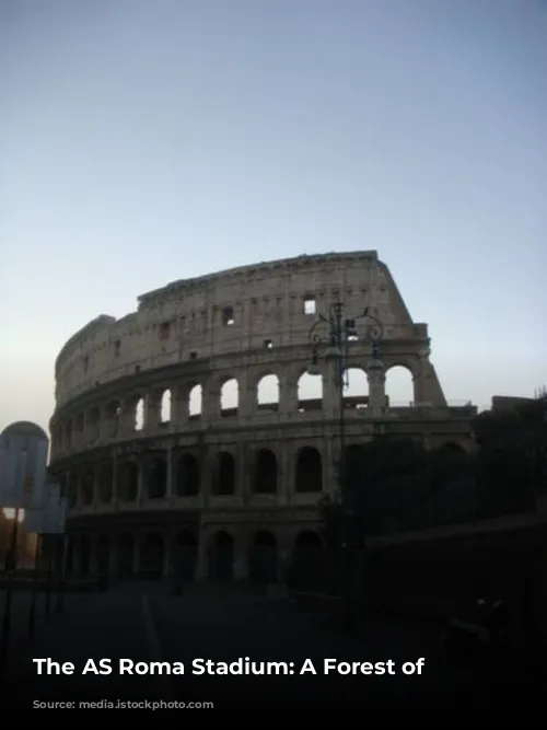 The AS Roma Stadium: A Forest of Obstacles