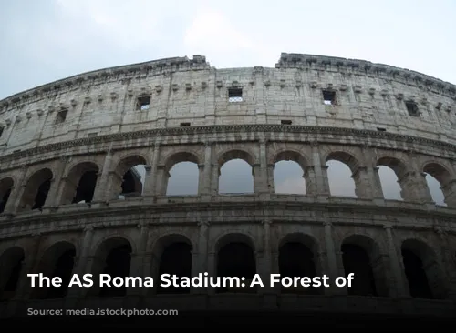 The AS Roma Stadium: A Forest of Obstacles