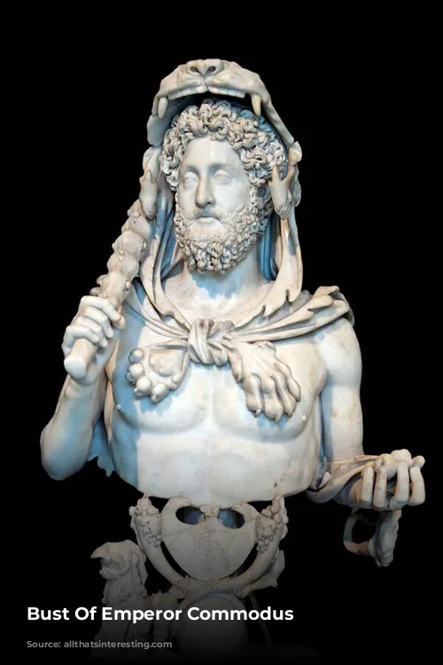 Bust Of Emperor Commodus