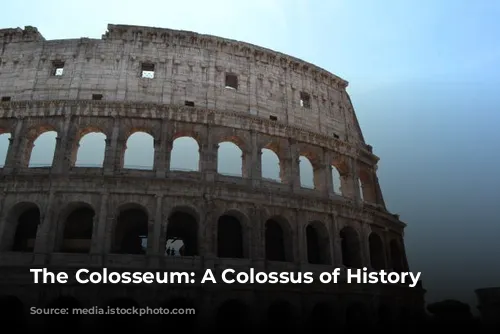 The Colosseum: A Colossus of History