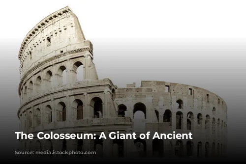 The Colosseum: A Giant of Ancient Rome