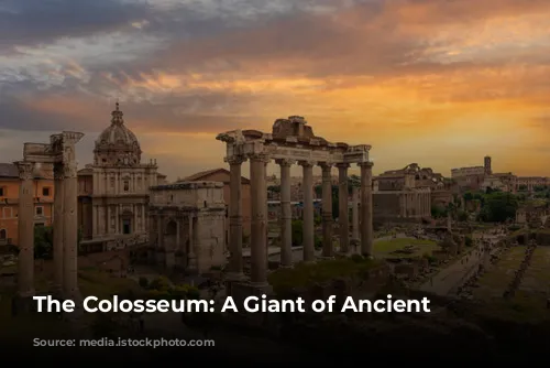 The Colosseum: A Giant of Ancient Rome