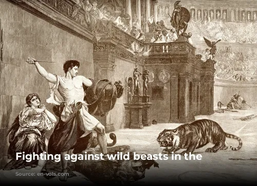 Fighting against wild beasts in the Colosseum