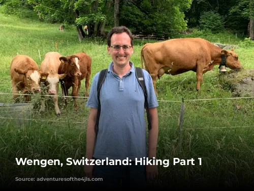 Wengen, Switzerland: Hiking Part 1