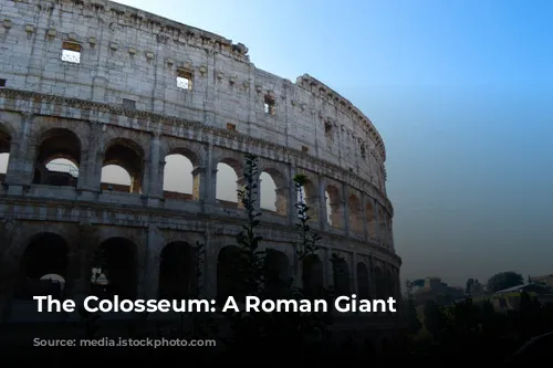 The Colosseum: A Roman Giant