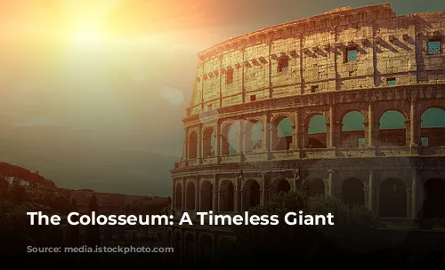  The Colosseum: A Timeless Giant