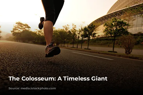  The Colosseum: A Timeless Giant