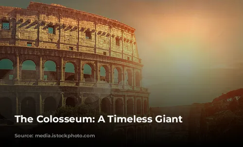  The Colosseum: A Timeless Giant