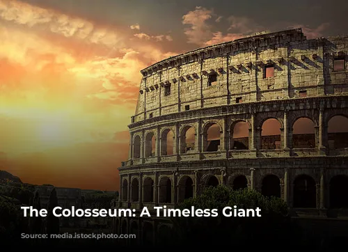  The Colosseum: A Timeless Giant