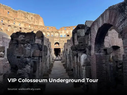 VIP Colosseum Underground Tour