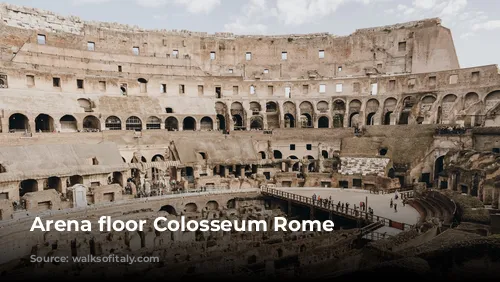 Arena floor Colosseum Rome