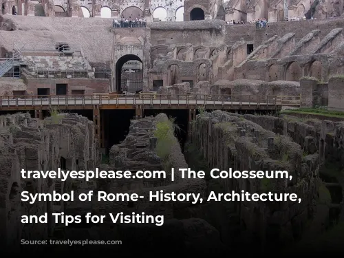 travelyesplease.com | The Colosseum, Iconic Symbol of Rome- History, Architecture, Facts, and Tips for Visiting