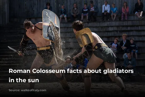 Roman Colosseum facts about gladiators fighting in the sun