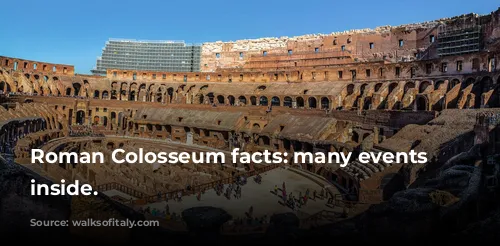 Roman Colosseum facts: many events happened inside.