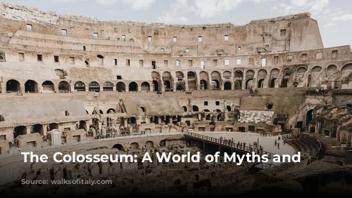 The Colosseum: A World of Myths and Realities