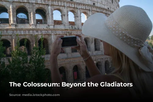 The Colosseum: Beyond the Gladiators