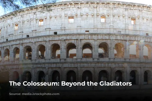 The Colosseum: Beyond the Gladiators