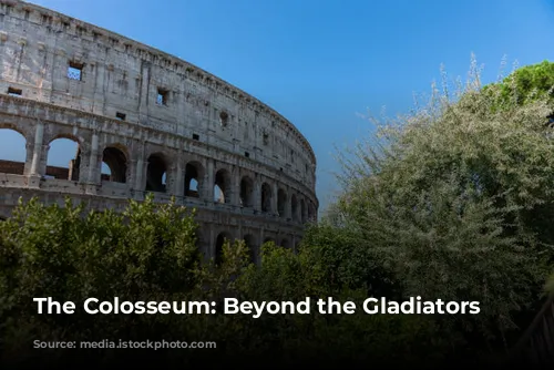 The Colosseum: Beyond the Gladiators