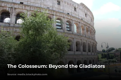 The Colosseum: Beyond the Gladiators