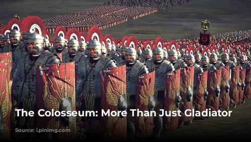 The Colosseum: More Than Just Gladiator Fights