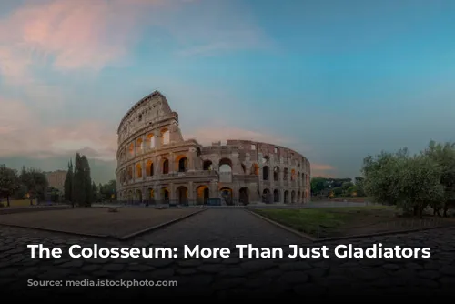 The Colosseum: More Than Just Gladiators