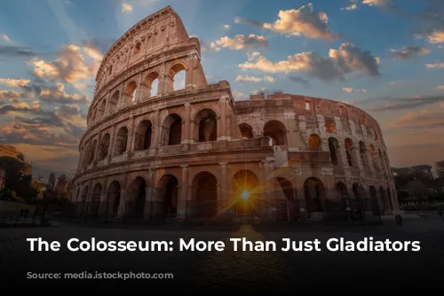 The Colosseum: More Than Just Gladiators