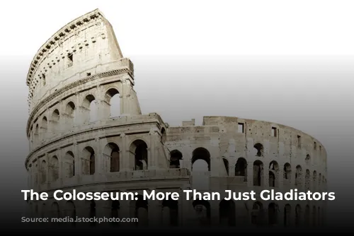 The Colosseum: More Than Just Gladiators