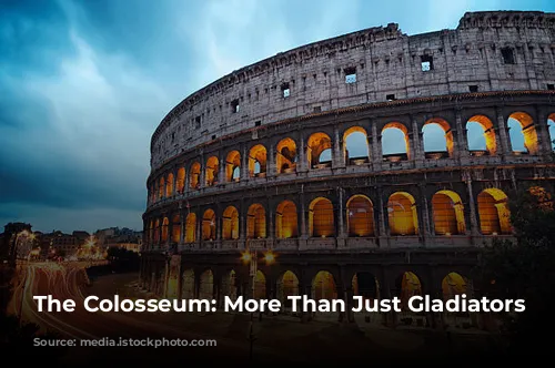 The Colosseum: More Than Just Gladiators