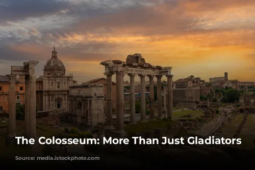 The Colosseum: More Than Just Gladiators