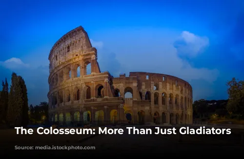 The Colosseum: More Than Just Gladiators