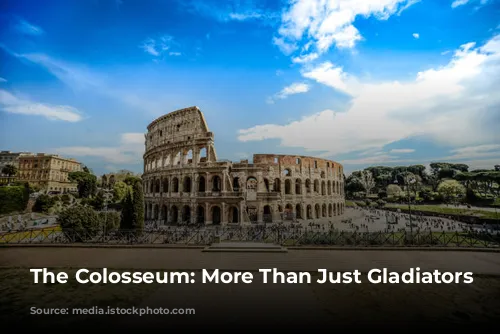 The Colosseum: More Than Just Gladiators