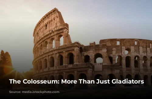 The Colosseum: More Than Just Gladiators