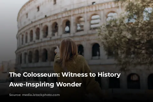 The Colosseum: Witness to History & Awe-Inspiring Wonder